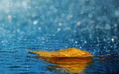 <b>暴雨天氣實(shí)用應(yīng)對(duì)措施指南?</b>